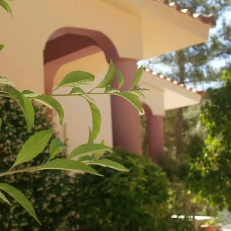 Kefallonia Bay Apartamento