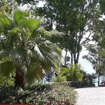 Kefallonia Bay Spartia (Kefalonia)
