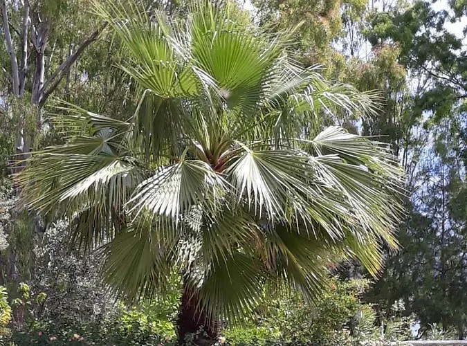 Kefallonia Bay Διαμέρισμα