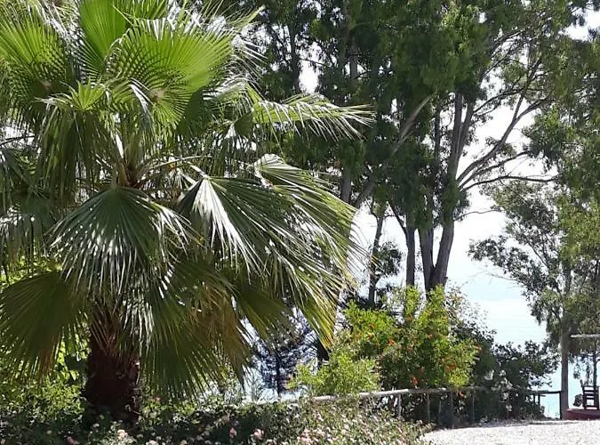 Kefallonia Bay Σπαρτιά